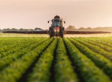 مصوبه الگوی کشت بدون همکاری سایر دستگاه‌ها اجرا نخواهد شد