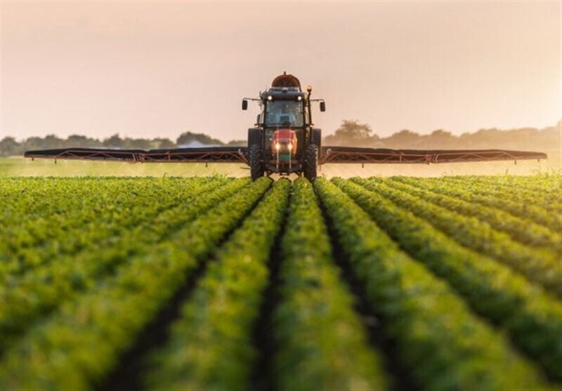 مصوبه الگوی کشت بدون همکاری سایر دستگاه‌ها اجرا نخواهد شد