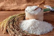 کاهش ۳۵ درصدی قیمت برنج شمال در بنکداری‌ها