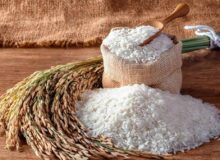 کاهش ۳۵ درصدی قیمت برنج شمال در بنکداریها
