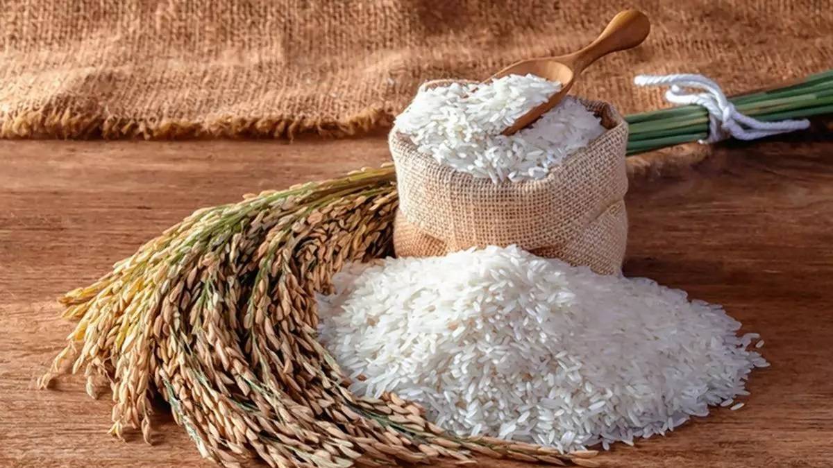 کاهش ۳۵ درصدی قیمت برنج شمال در بنکداریها