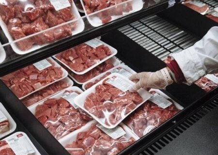 واردات گوشت تازه با ارز مبادله‌ای آغاز شد | عرضه روزانه در فروشگاه‌های زنجیره‌ای