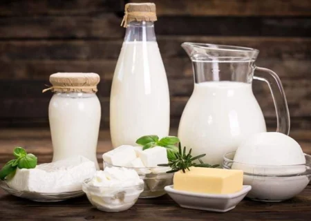 لبنیات پرچرب در جوانی؛ کلید سلامت قلب در پژوهش‌های جدید تغذیه‌ای