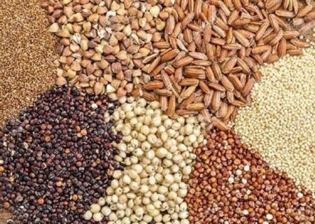 کشف ۱۳ هزار تن نهاده دامی احتکار شده در تهران توسط پلیس امنیت اقتصادی