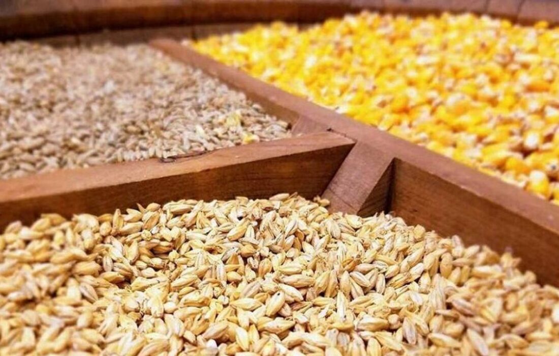 مواخذه عاملان بازار نهاده‌های دامی؛ تحویل کالا به پشتیبانی امور دام از مرز یک میلیون تن عبور می‌کند