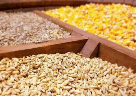 مواخذه عاملان بازار نهاده‌های دامی؛ تحویل کالا به پشتیبانی امور دام از مرز یک میلیون تن عبور می‌کند