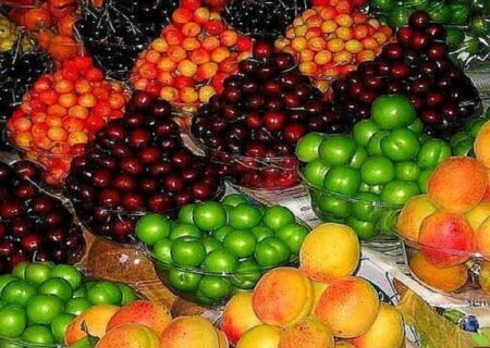 رئیس اتحادیه بارفروشان: افزایش صادرات و نوسان ارز بازار میوه را ملتهب کرد